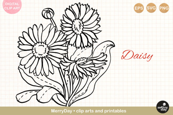 Daisy Flower Line Art: A Delicate Design for Thoughtful Projects