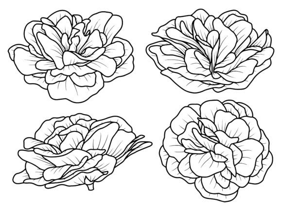Flower Rose Line Art: A Designer’s Honest Review for Real Projects