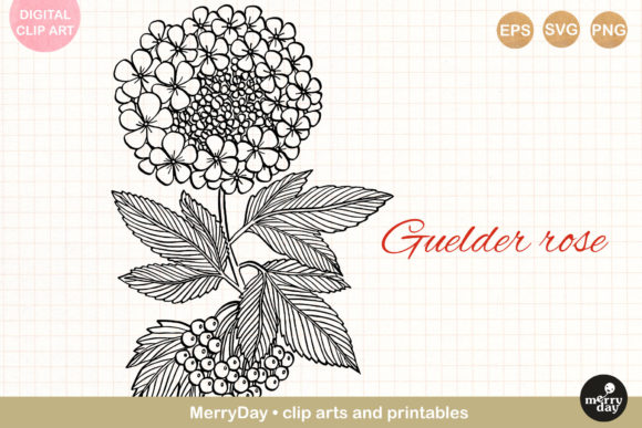 Guelder Rose Flower Line Art Drawing Review: A Delicate Touch for Embroidery Projects